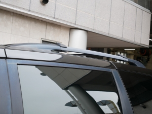 シエナ新車並行　SE　ローダウン