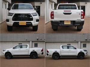 シエナ新車並行　ローダウン　22インチアルミ