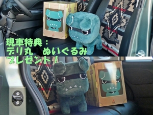 デリカミニＢＩＧ－Ｘ　ペンドルトンシートカバー付